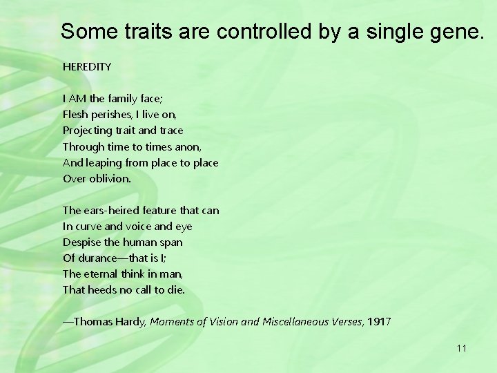 Some traits are controlled by a single gene. HEREDITY I AM the family face;