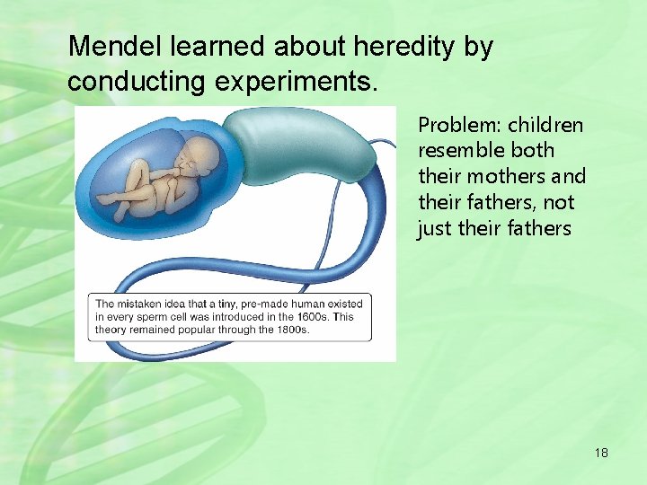 Mendel learned about heredity by conducting experiments. Problem: children resemble both their mothers and
