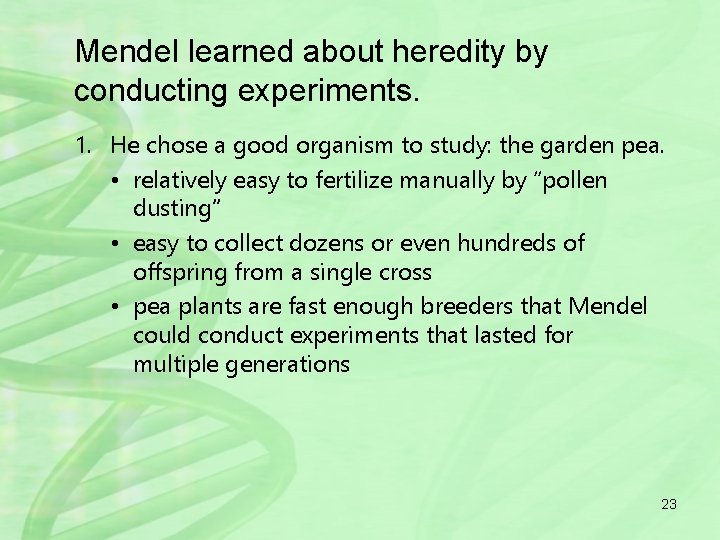 Mendel learned about heredity by conducting experiments. 1. He chose a good organism to