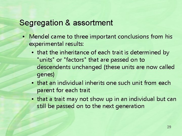 Segregation & assortment • Mendel came to three important conclusions from his experimental results: