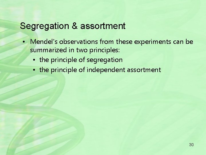 Segregation & assortment • Mendel's observations from these experiments can be summarized in two