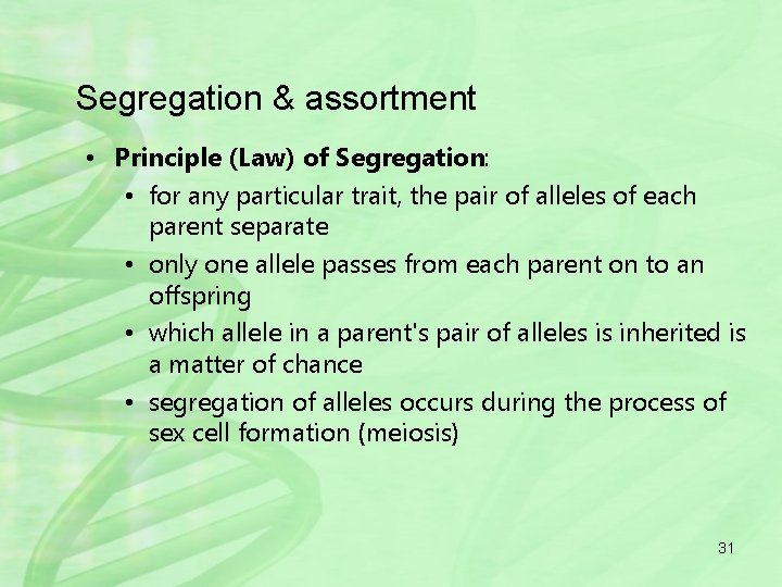 Segregation & assortment • Principle (Law) of Segregation: • for any particular trait, the