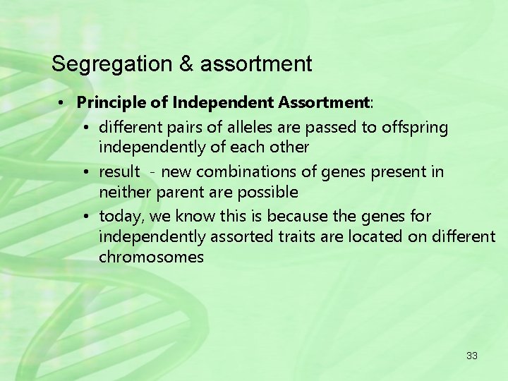 Segregation & assortment • Principle of Independent Assortment: • different pairs of alleles are