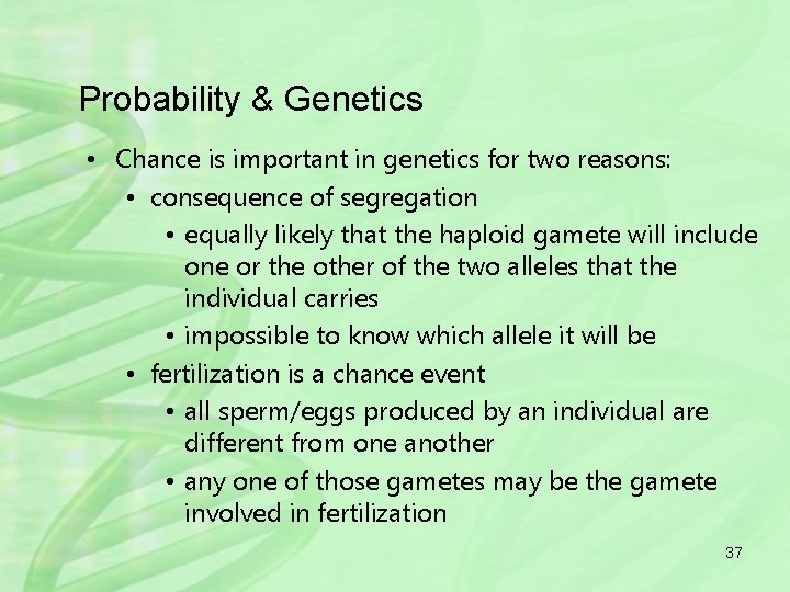 Probability & Genetics • Chance is important in genetics for two reasons: • consequence