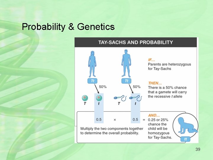 Probability & Genetics 39 