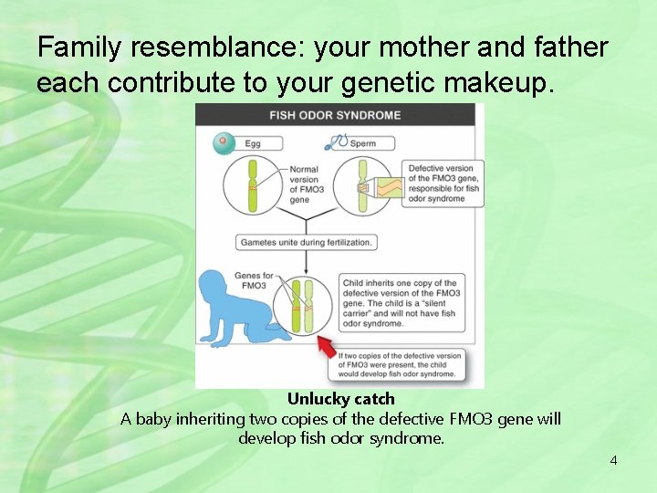 Family resemblance: your mother and father each contribute to your genetic makeup. Unlucky catch