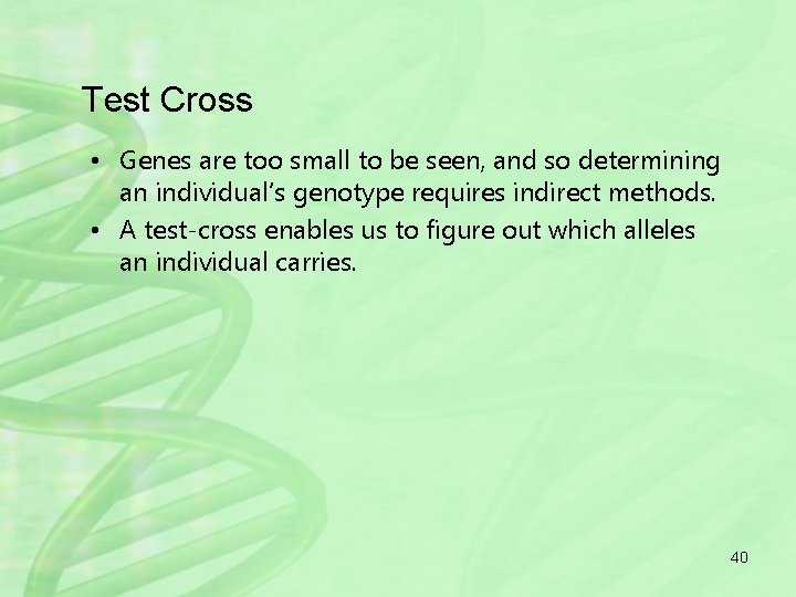 Test Cross • Genes are too small to be seen, and so determining an