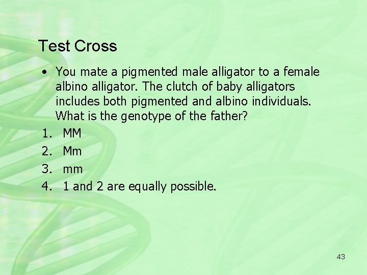 Test Cross • You mate a pigmented male alligator to a female albino alligator.