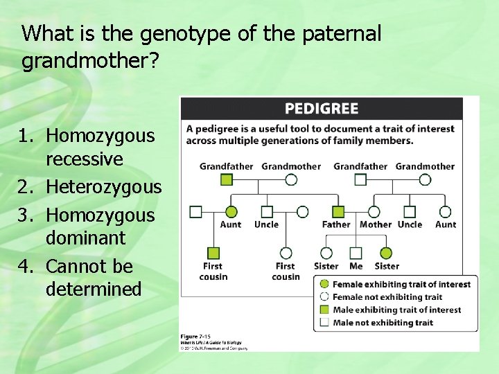 What is the genotype of the paternal grandmother? 1. Homozygous recessive 2. Heterozygous 3.