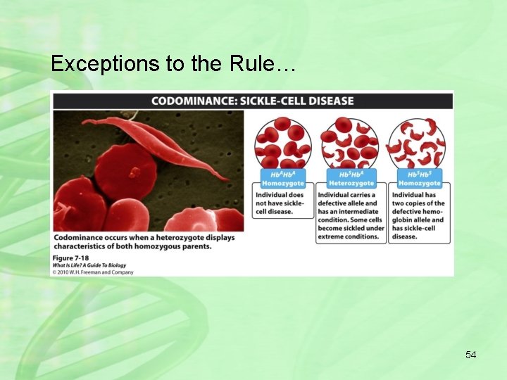 Exceptions to the Rule… 54 