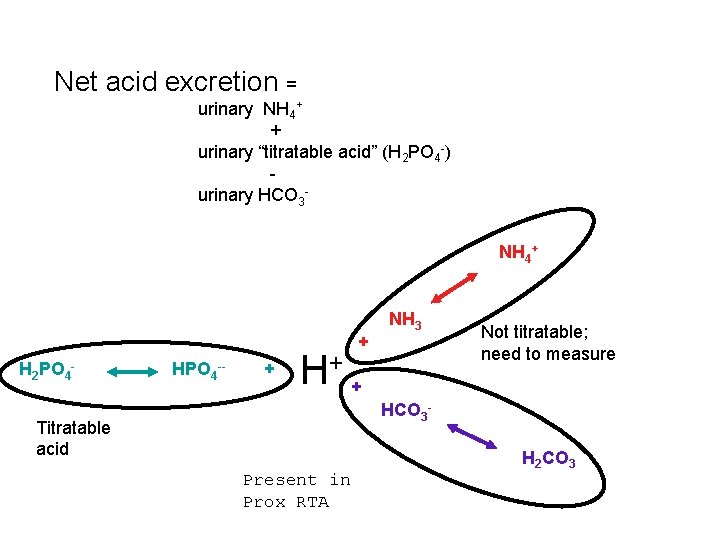 Net acid excretion = urinary NH 4+ + urinary “titratable acid” (H 2 PO