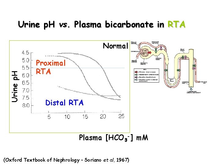 Urine p. H vs. Plasma bicarbonate in RTA Urine p. H Normal Proximal RTA