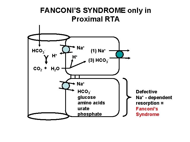 FANCONI’S SYNDROME only in Proximal RTA HCO 3 Na+ - H+ H+ (1) Na+