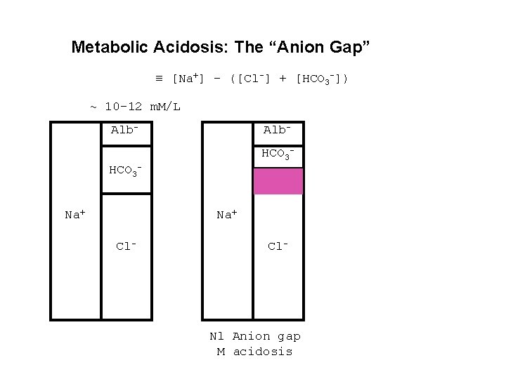Metabolic Acidosis: The “Anion Gap” [Na+] - ([Cl-] + [HCO 3 -]) ~ 10