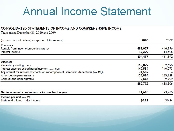Annual Income Statement 