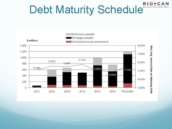 Debt Maturity Schedule 