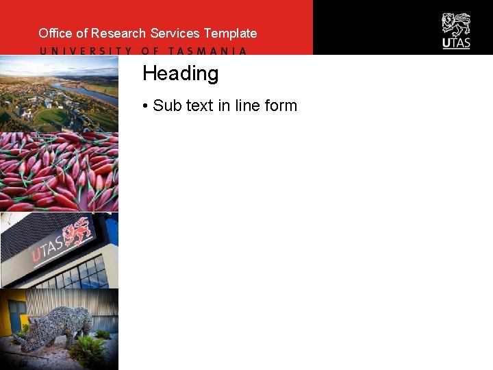 Office of Research Services Template Heading • Sub text in line form 