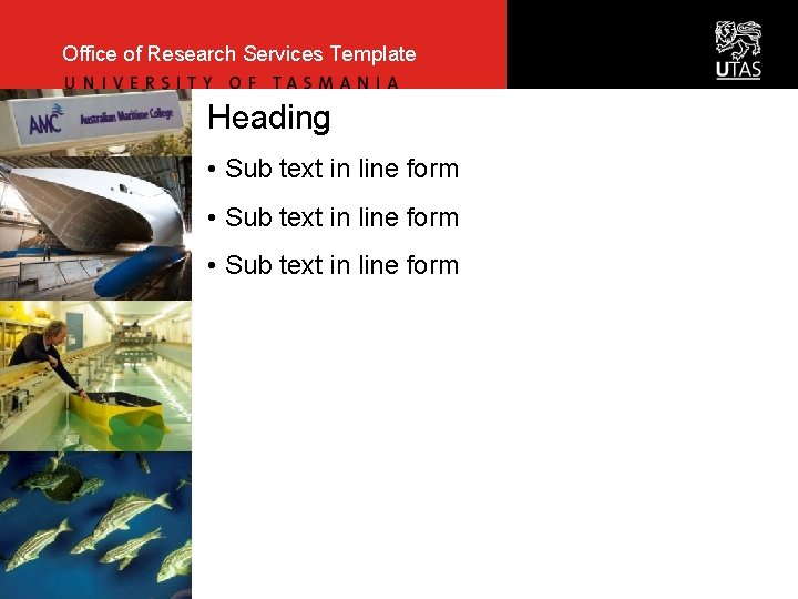 Office of Research Services Template Heading • Sub text in line form 