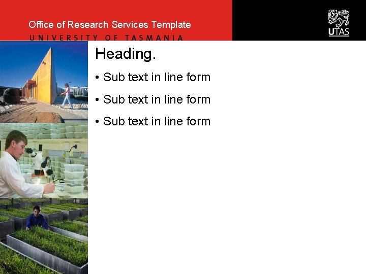 Office of Research Services Template Heading. • Sub text in line form 