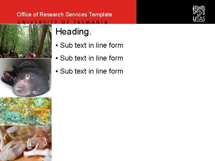 Office of Research Services Template Heading. • Sub text in line form 