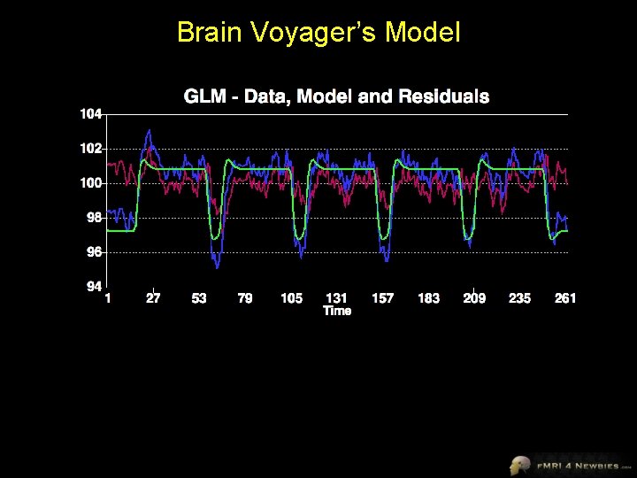 Brain Voyager’s Model 