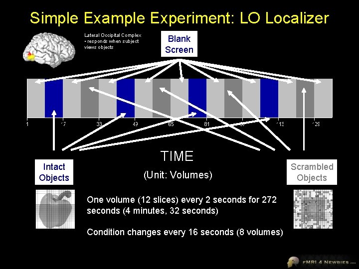 Simple Example Experiment: LO Localizer Lateral Occipital Complex • responds when subject views objects