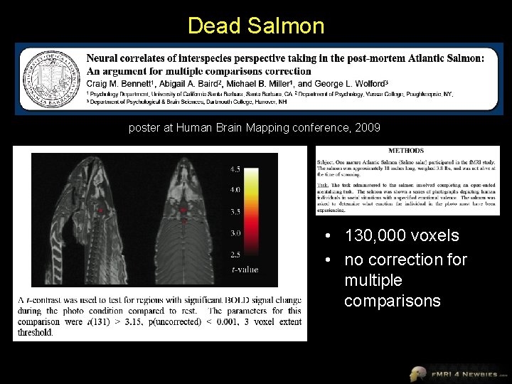 Dead Salmon poster at Human Brain Mapping conference, 2009 • 130, 000 voxels •