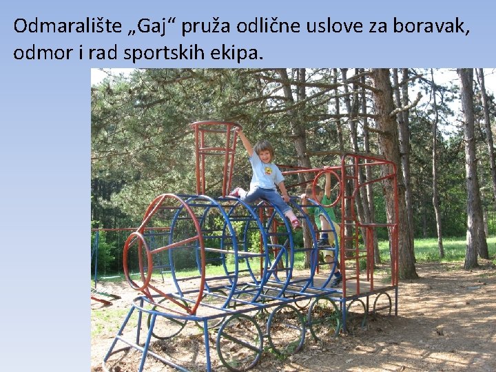 Odmaralište „Gaj“ pruža odlične uslove za boravak, odmor i rad sportskih ekipa. 