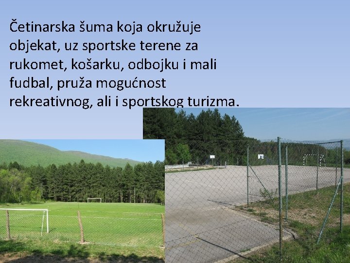 Četinarska šuma koja okružuje objekat, uz sportske terene za rukomet, košarku, odbojku i mali