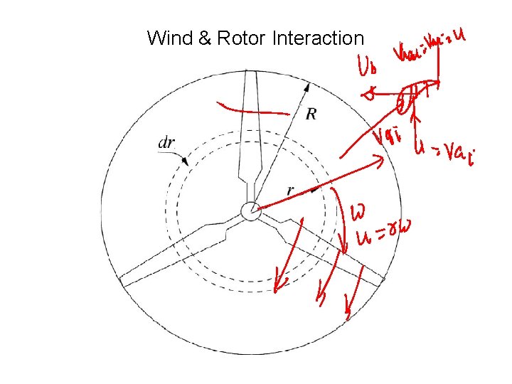 Wind & Rotor Interaction 