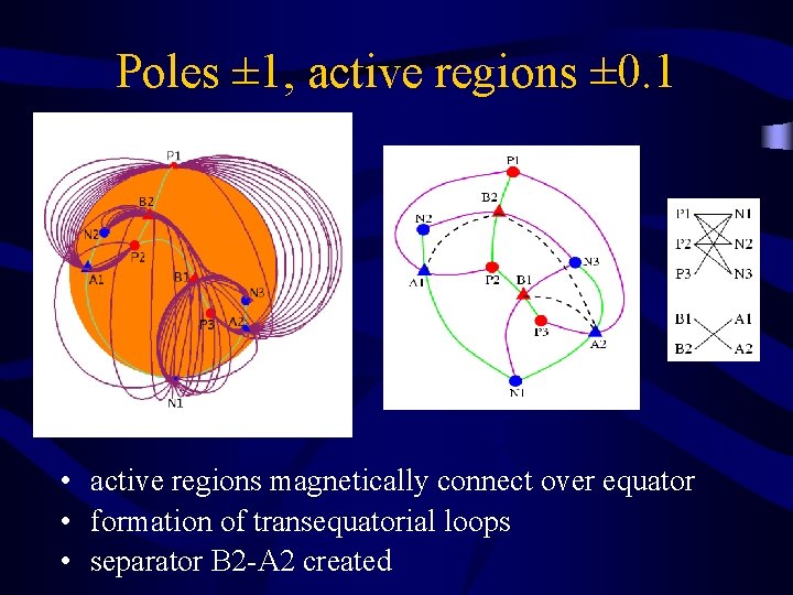 Poles ± 1, active regions ± 0. 1 • active regions magnetically connect over