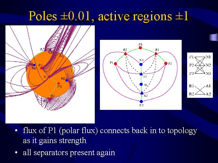 Poles ± 0. 01, active regions ± 1 • flux of P 1 (polar