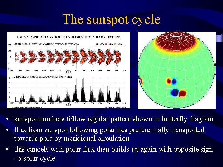 The sunspot cycle • sunspot numbers follow regular pattern shown in butterfly diagram •