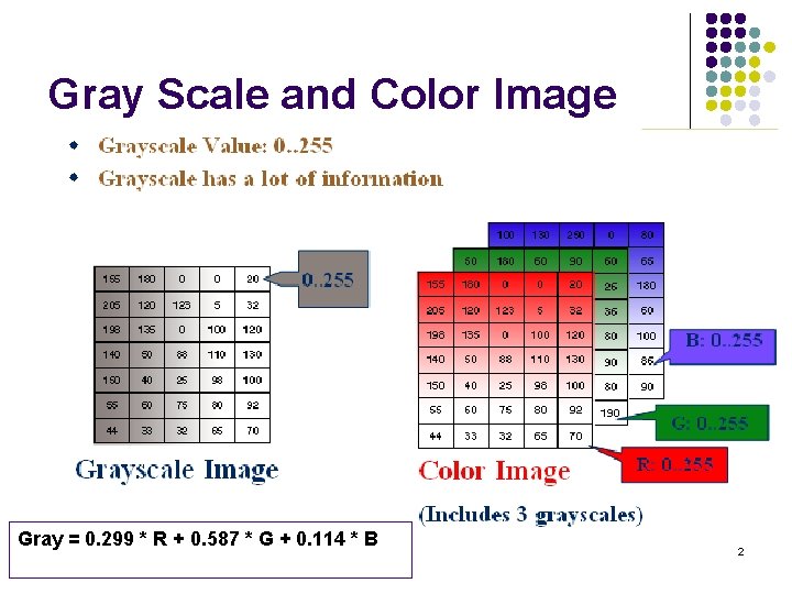 Gray Scale and Color Image Gray = 0. 299 * R + 0. 587