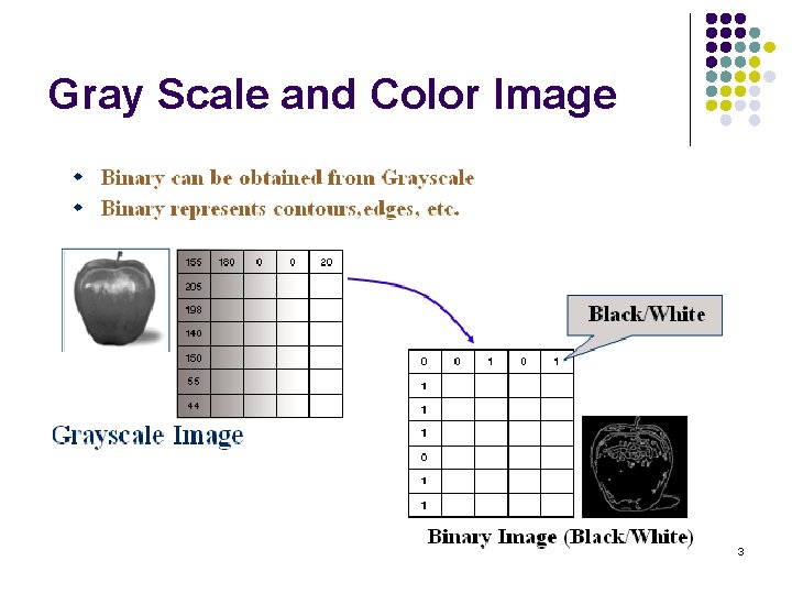 Gray Scale and Color Image 3 