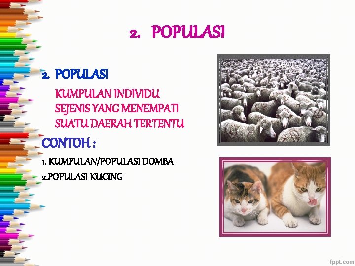 2. POPULASI KUMPULAN INDIVIDU SEJENIS YANG MENEMPATI SUATU DAERAH TERTENTU CONTOH : 1. KUMPULAN/POPULASI