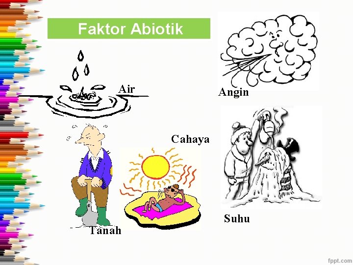 Faktor Abiotik Air Angin Cahaya Tanah Suhu 