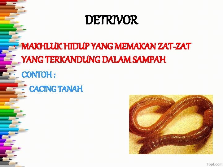 DETRIVOR • MAKHLUK HIDUP YANG MEMAKAN ZAT-ZAT YANG TERKANDUNG DALAM SAMPAH • CONTOH :