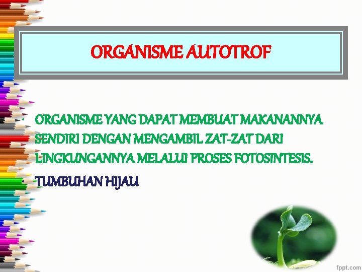 ORGANISME AUTOTROF • ORGANISME YANG DAPAT MEMBUAT MAKANANNYA SENDIRI DENGAN MENGAMBIL ZAT-ZAT DARI LINGKUNGANNYA