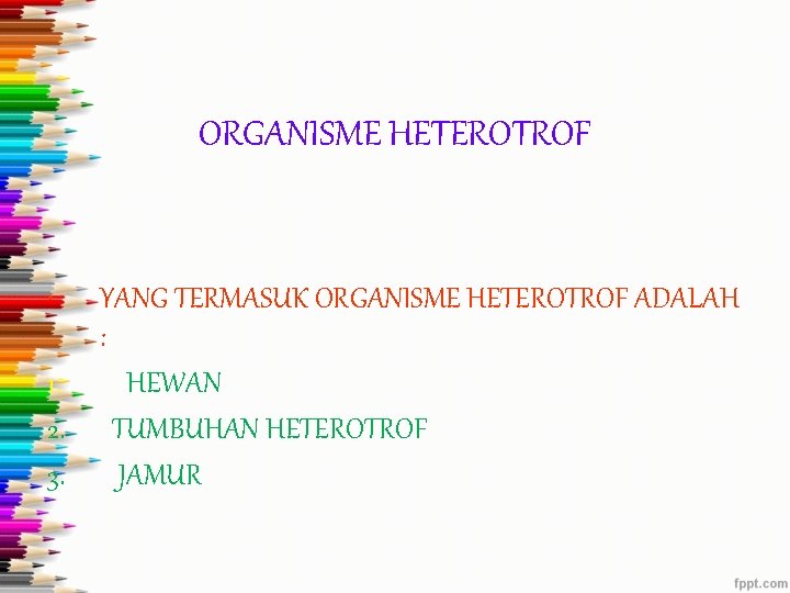 ORGANISME HETEROTROF • YANG TERMASUK ORGANISME HETEROTROF ADALAH : 1. HEWAN 2. TUMBUHAN HETEROTROF