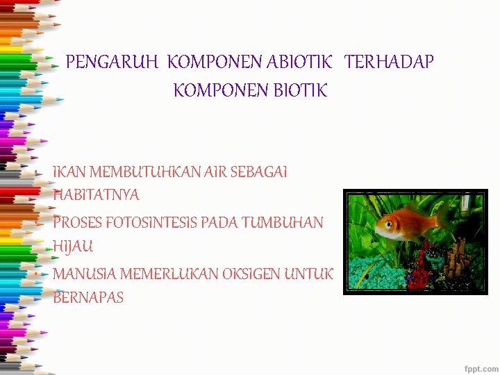 PENGARUH KOMPONEN ABIOTIK TERHADAP KOMPONEN BIOTIK • IKAN MEMBUTUHKAN AIR SEBAGAI HABITATNYA • PROSES