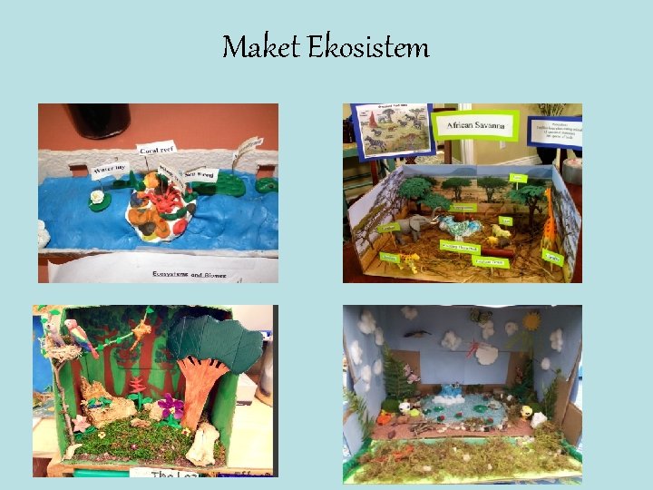 Maket Ekosistem 