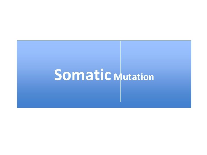 Somatic Mutation 