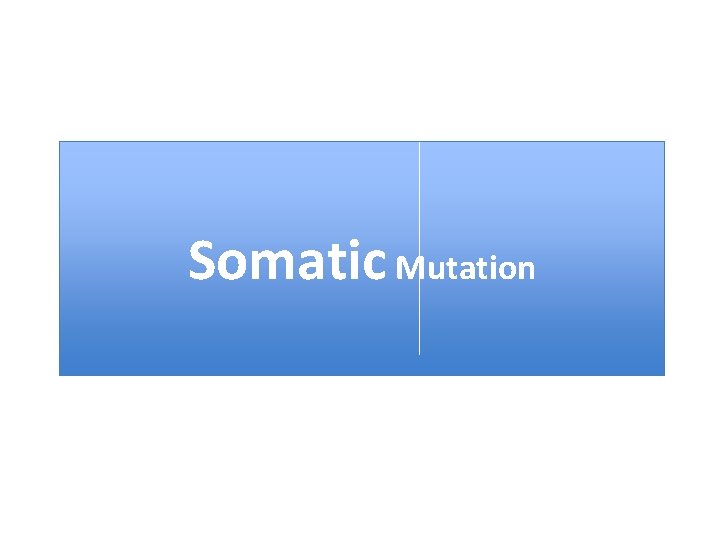 Somatic Mutation 