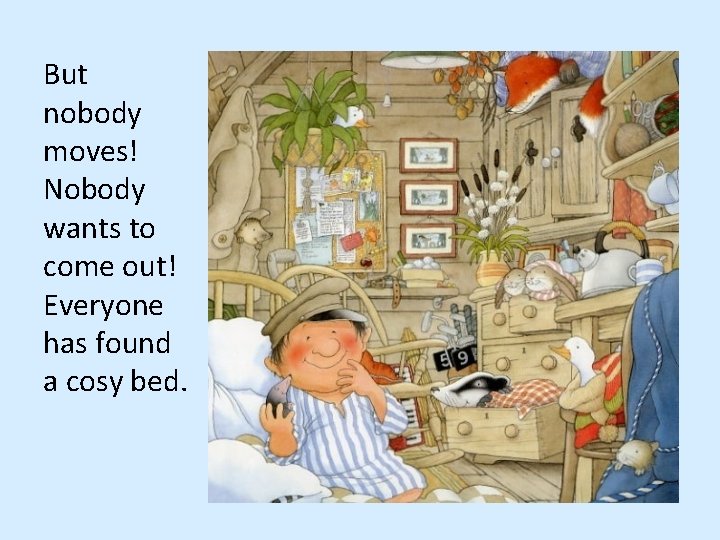 But nobody moves! Nobody wants to come out! Everyone has found a cosy bed.