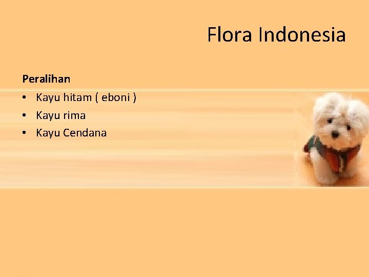 Flora Indonesia Peralihan • Kayu hitam ( eboni ) • Kayu rima • Kayu