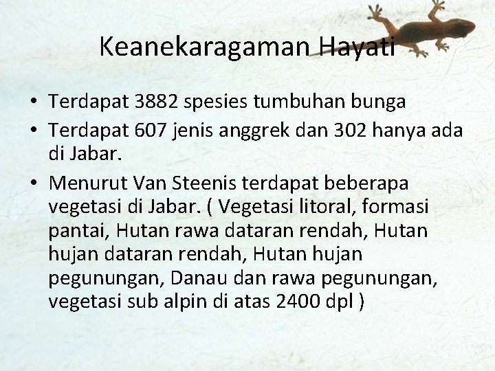 Keanekaragaman Hayati • Terdapat 3882 spesies tumbuhan bunga • Terdapat 607 jenis anggrek dan