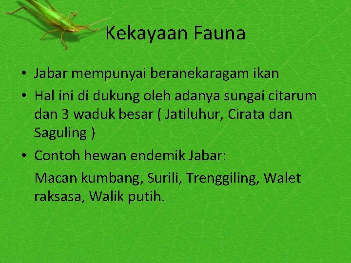 Kekayaan Fauna • Jabar mempunyai beranekaragam ikan • Hal ini di dukung oleh adanya