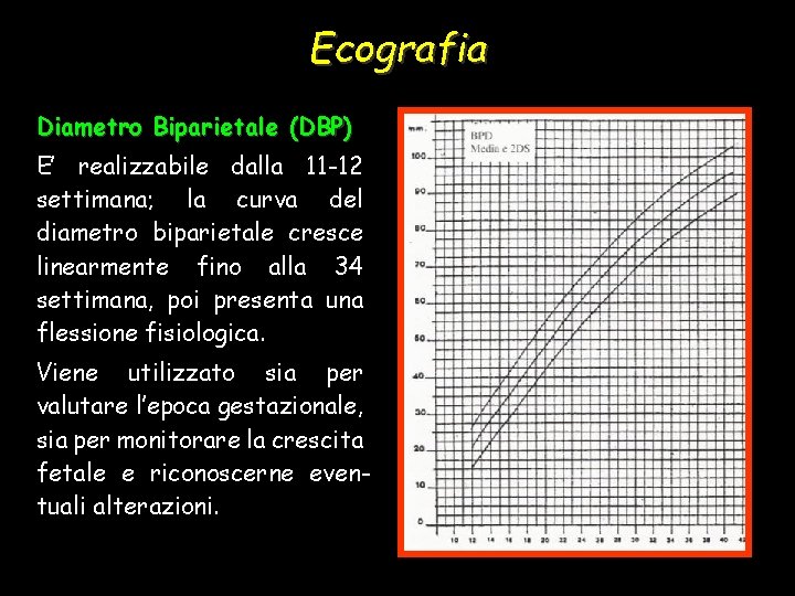 Ecografia Diametro Biparietale (DBP) E’ realizzabile dalla 11 -12 settimana; la curva del diametro