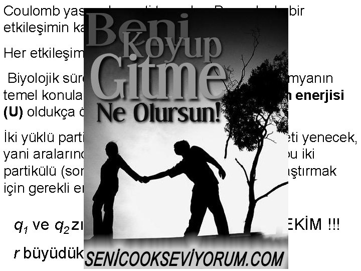 Coulomb yasası kuvveti tanımlar. Bu nedenle bir etkileşimin kantitatif ifadesi olarak kabul edilir. Her